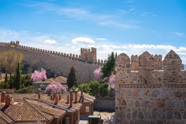 Segovia y Ávila - Imagen 4